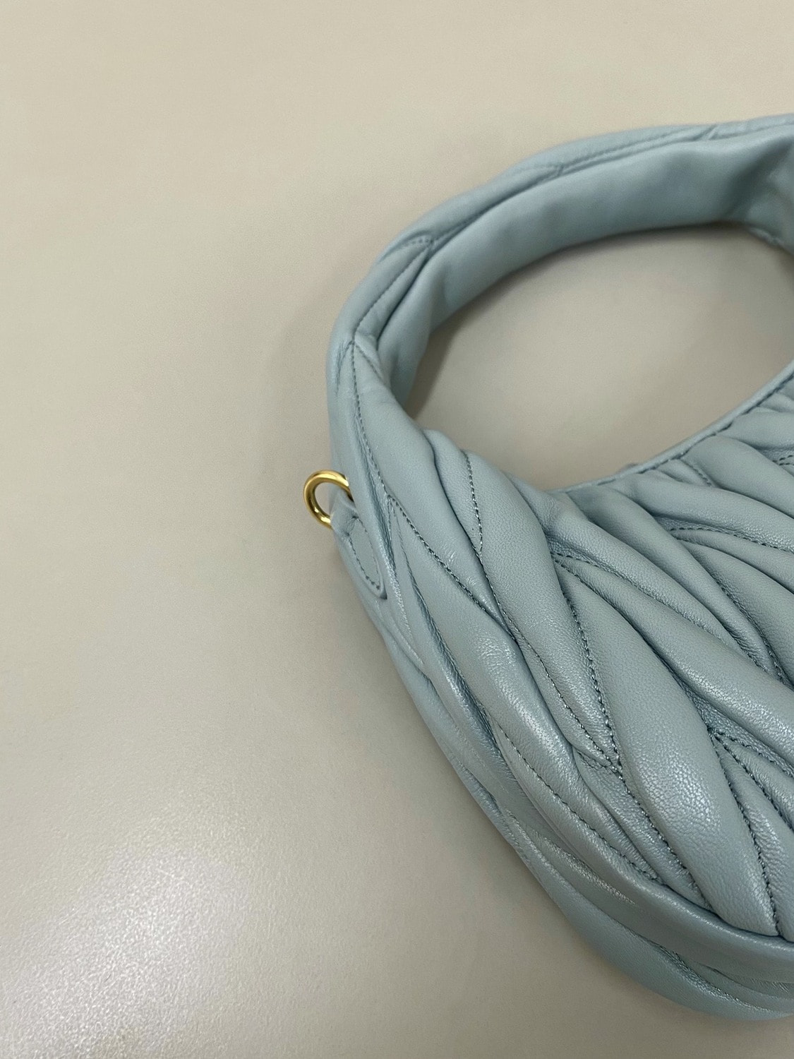   - MIU MIU Wander Hobo (,  5)