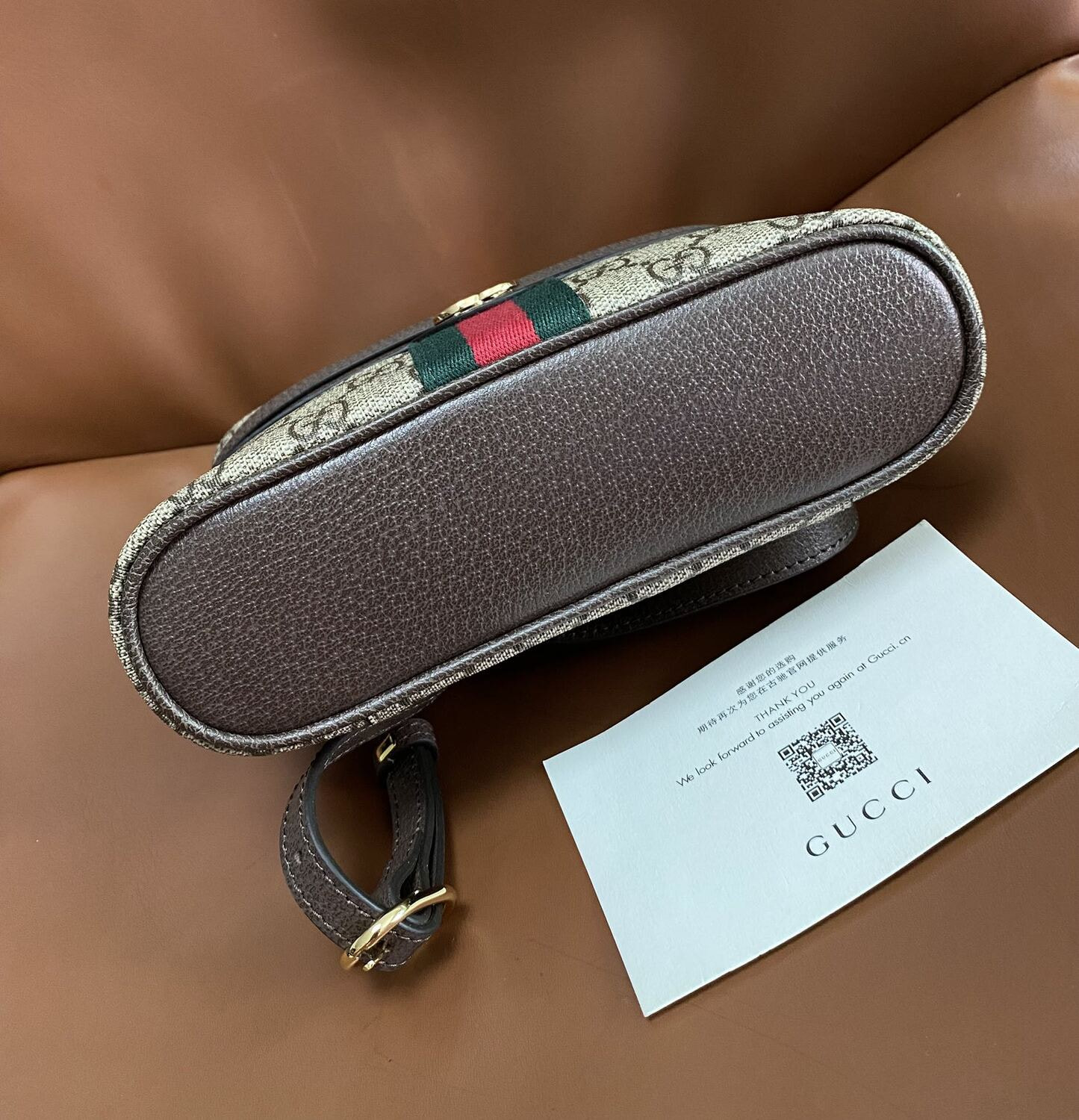  GUI OPHIDIA 2025 (,  3)