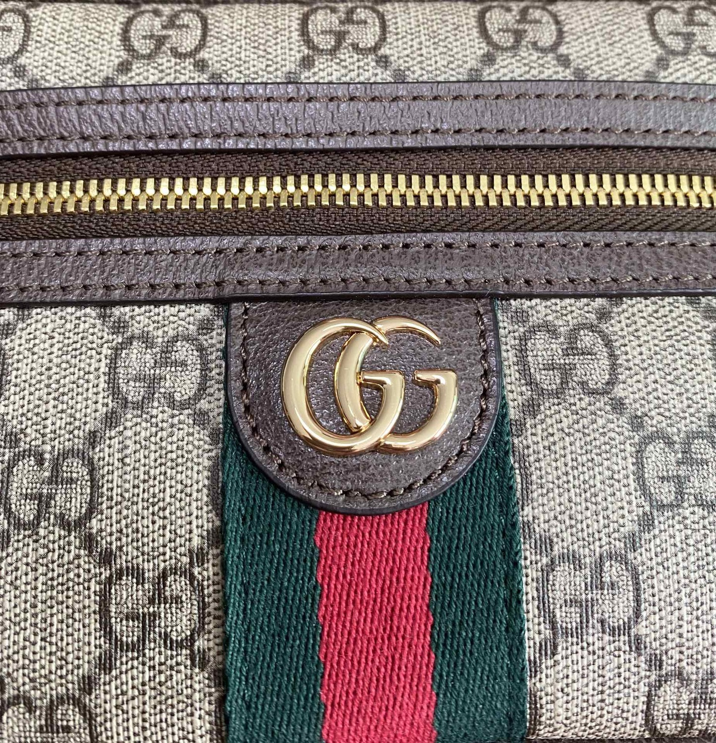  GUI OPHIDIA 2025 (,  4)