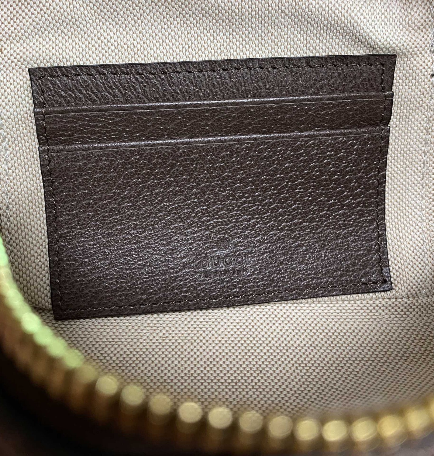  GUI OPHIDIA 2025 (,  7)