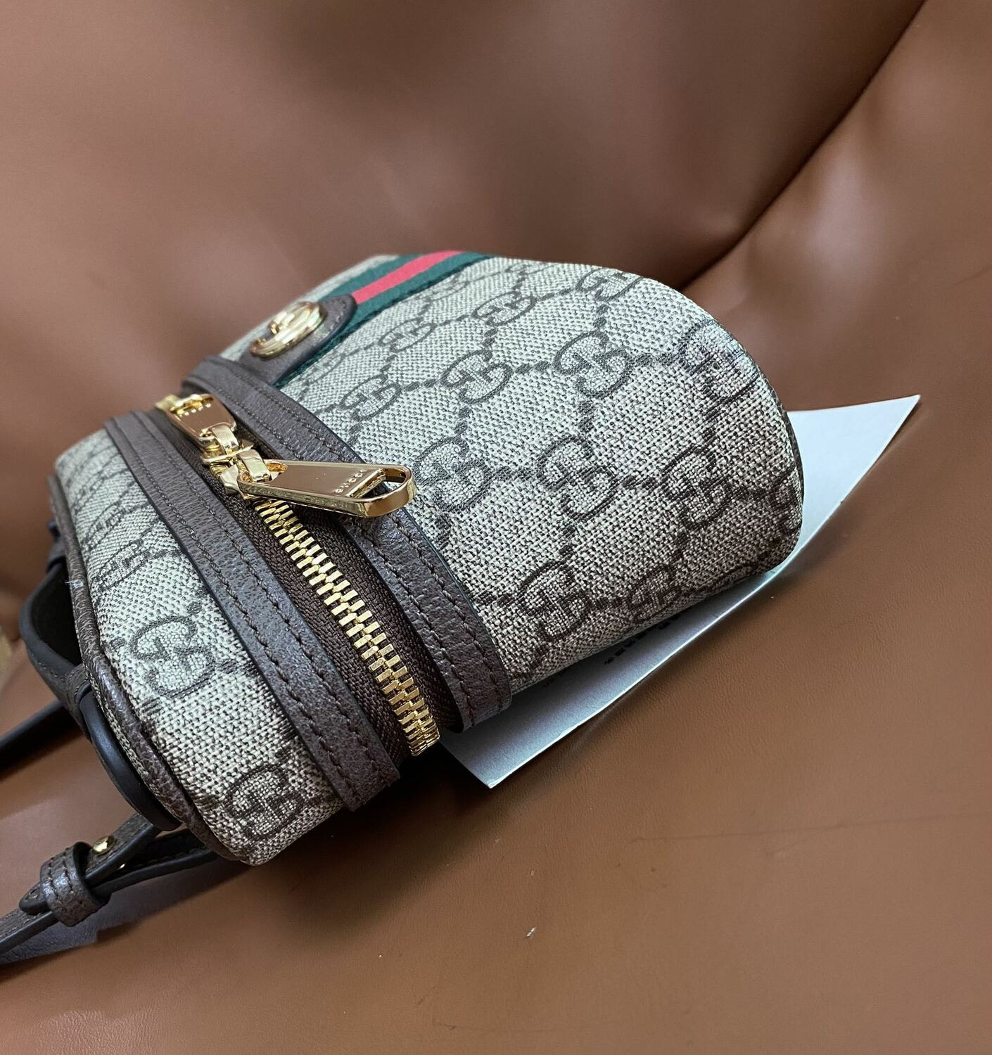  GUI OPHIDIA 2025 (,  9)