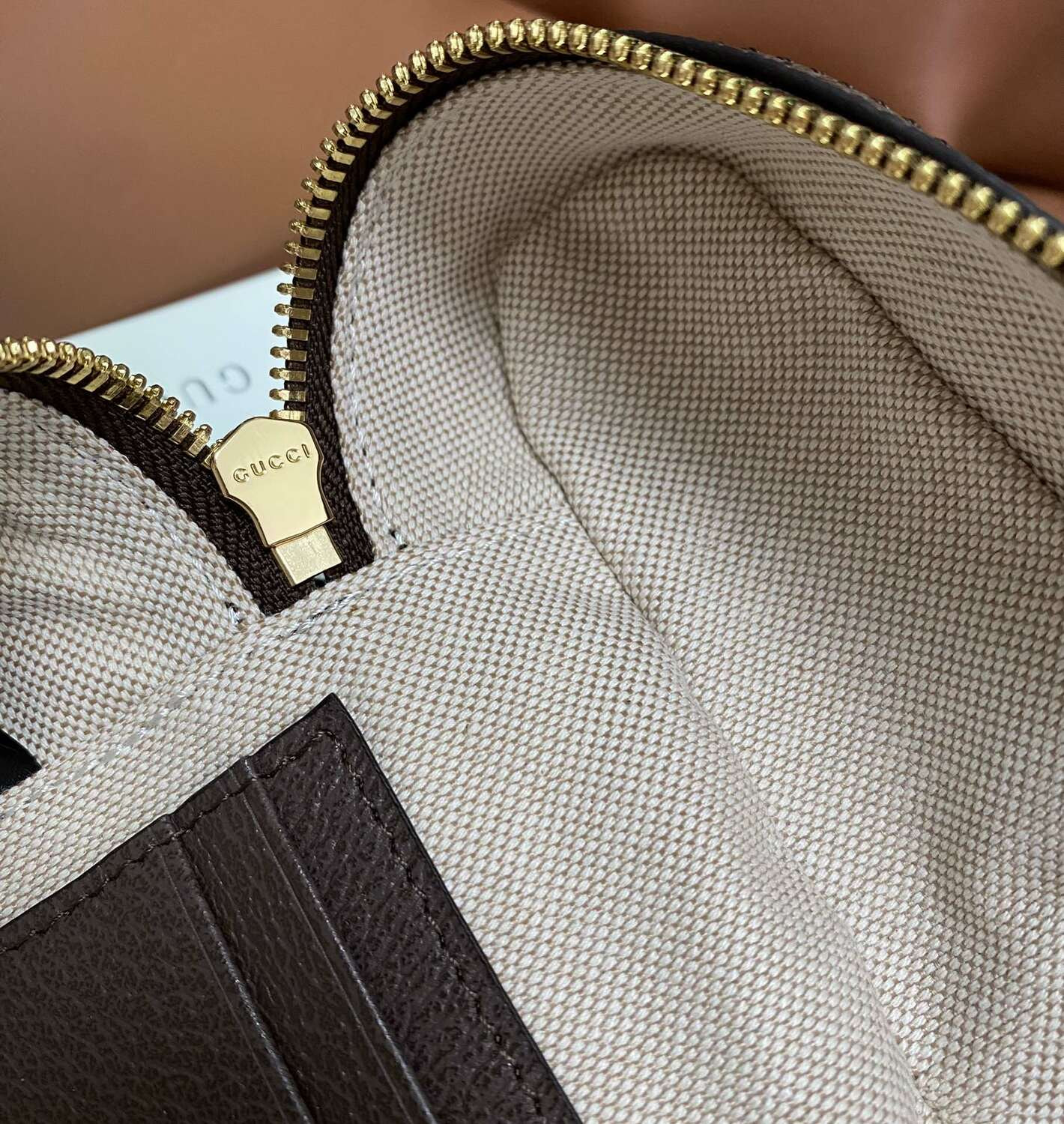  GUI OPHIDIA 2025 (,  10)