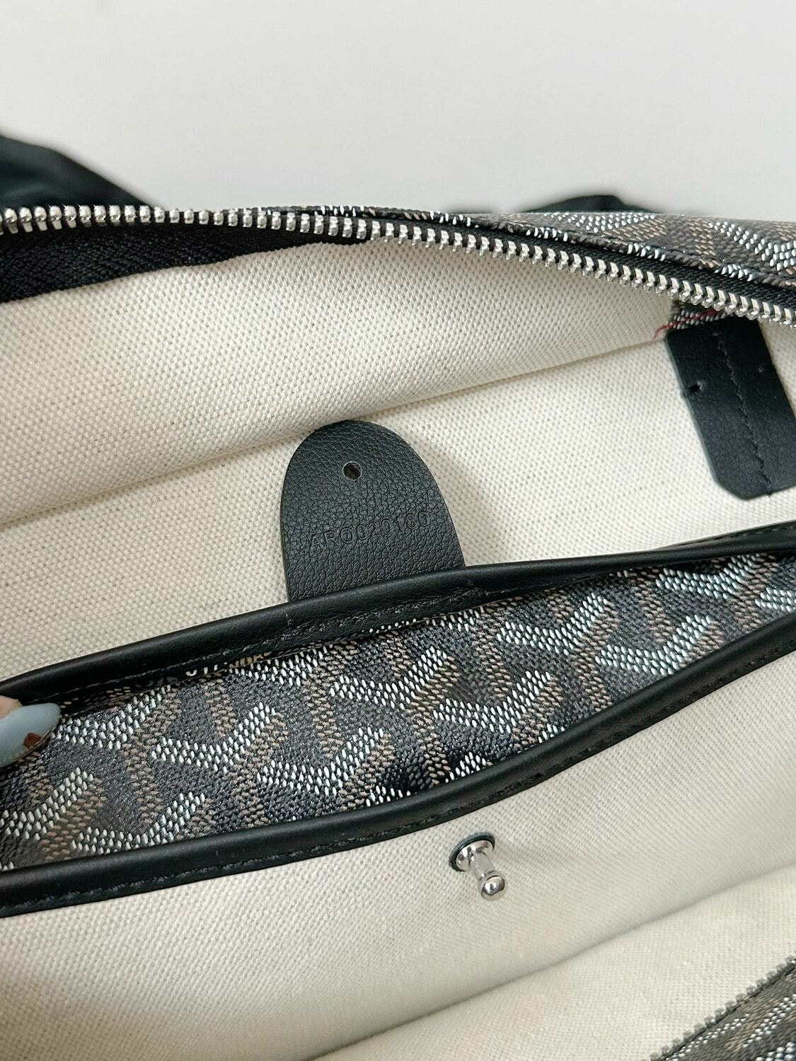 ����� Goy�rd Artois (����, ��� 6)