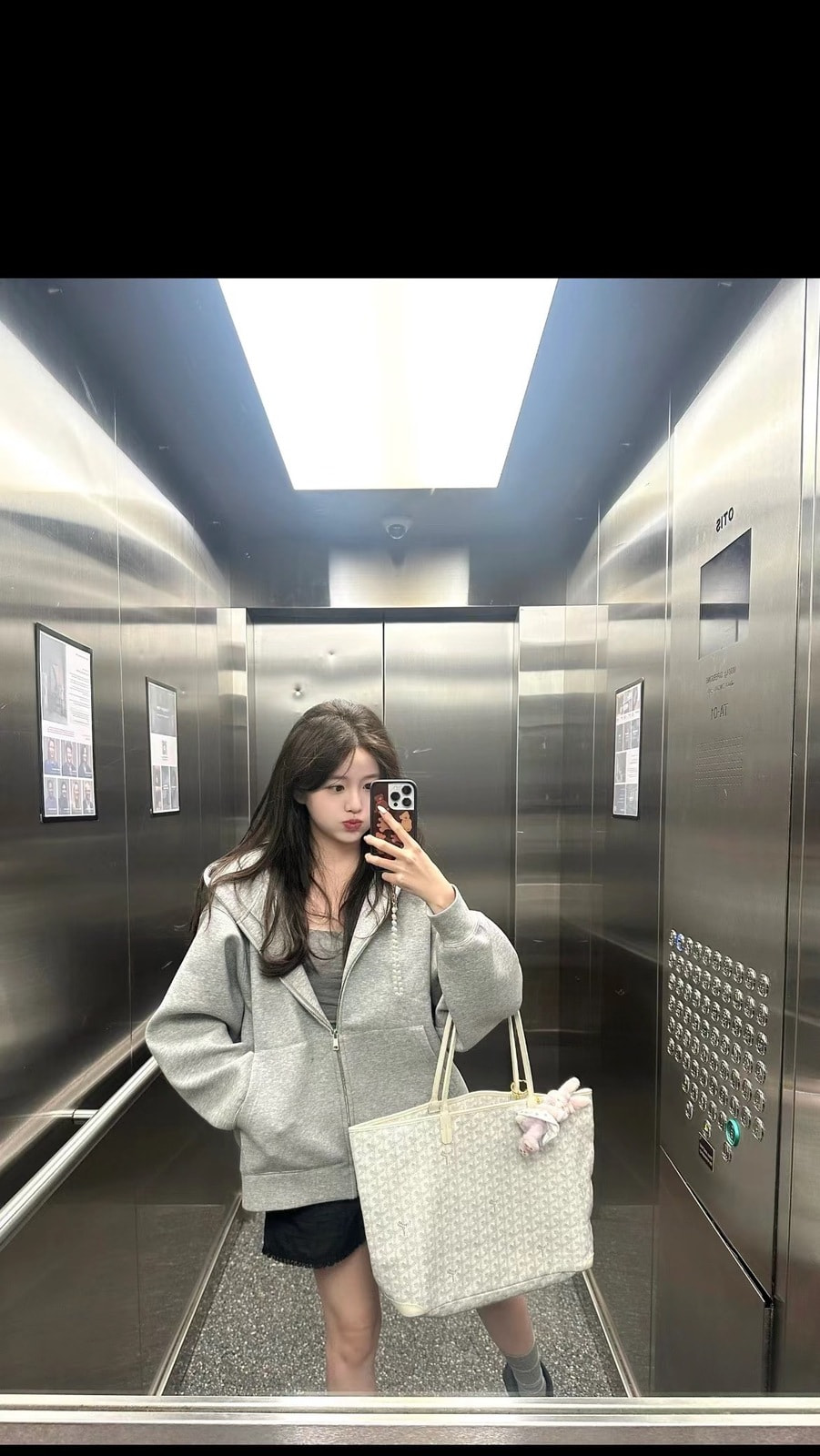 ����� Goy�rd Tote GM (����, ��� 10)