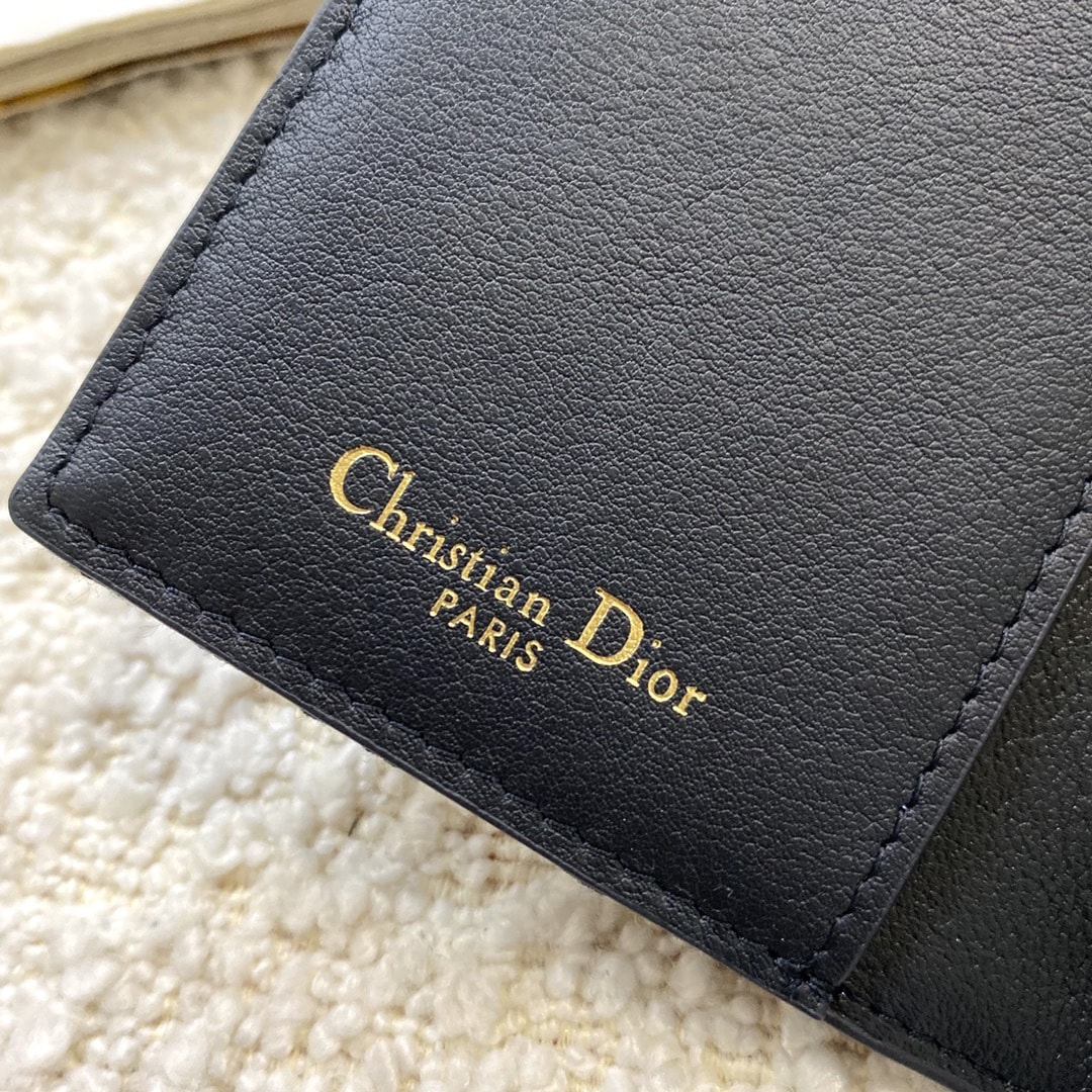    Christian Dior saddle (,  4)